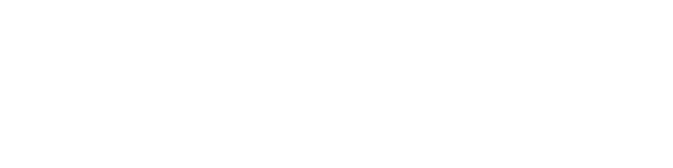 DNAcademy Perú Logo